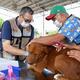 Gobierno de Sonora lleva 164 atenciones para animales de compañía de Los Olivos, en Hermosillo