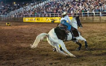Culmina una gran primera edición del Circuito de Rodeo en Sonora
